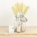 A Slice of Green Wooden Bottle Brush - Plant Based Bristles