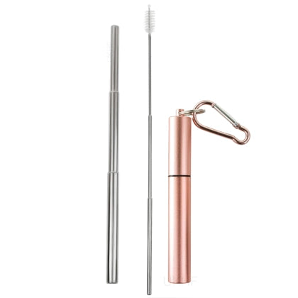 Collapsible reusable Stainless steel Straw with Capsule case - Rose Gold