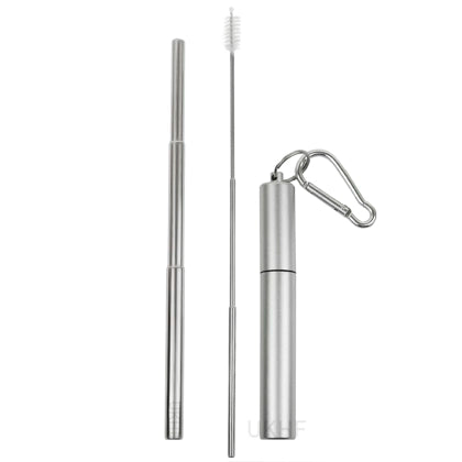 Collapsible reusable Stainless steel Straw with Capsule case - Silver