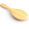 Re:gn Bamboo Hair Brush
