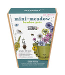 SEEDBALL Mini Meadow Bamboo Pots