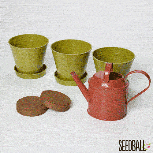 SEEDBALL Mini Meadow Bamboo Pots