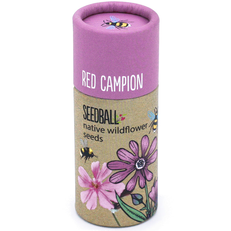 SEEDBALL Wildflower Seed ball Tubes