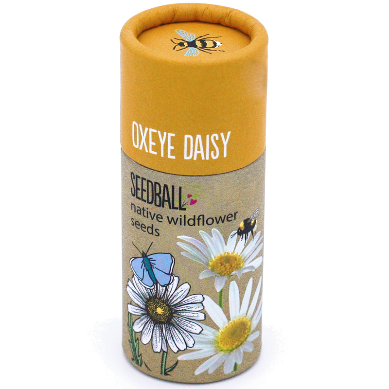 SEEDBALL Wildflower Seed ball Tubes