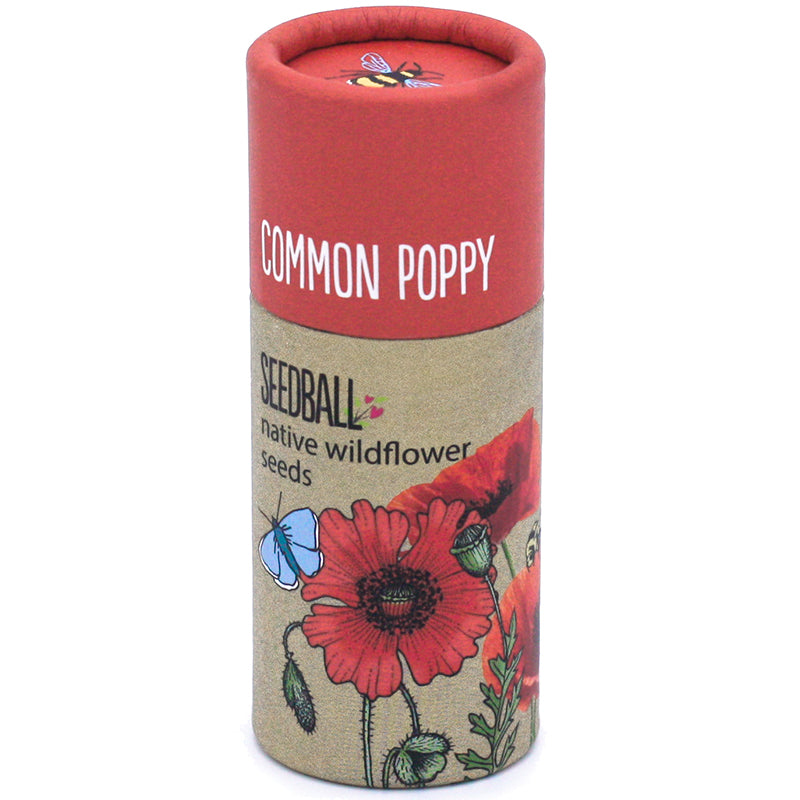 SEEDBALL Wildflower Seed ball Tubes