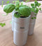 SEEDBALL Italian Herb Kitchen set
