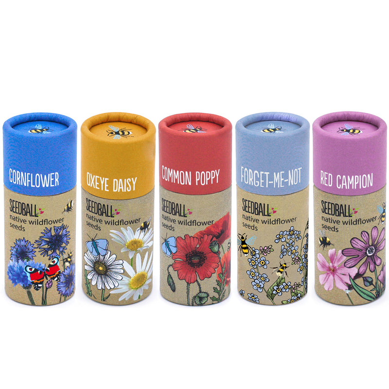 SEEDBALL Wildflower Seed ball Tubes