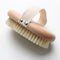 Re:gn Natural Beechwood Body Brush