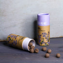 SEEDBALL Wildflower Seed ball Tubes