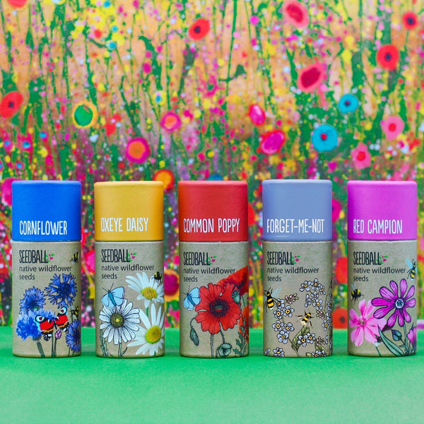 SEEDBALL Wildflower Seed ball Tubes