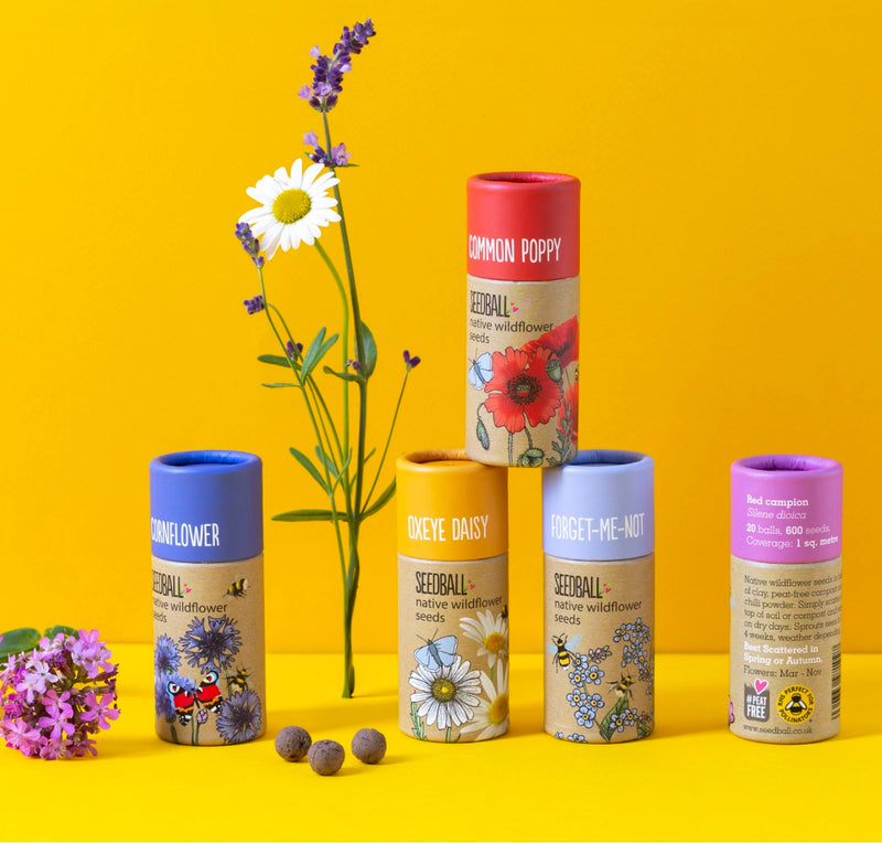 SEEDBALL Wildflower Seed ball Tubes
