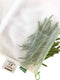 Postera Reusable Fruit and Vegetable Bags