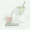 Stainless Steel Short Reusable Drinking Straws - Pack of 2 with brush