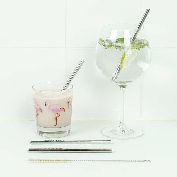 Stainless Steel Short Reusable Drinking Straws - Pack of 2 with brush