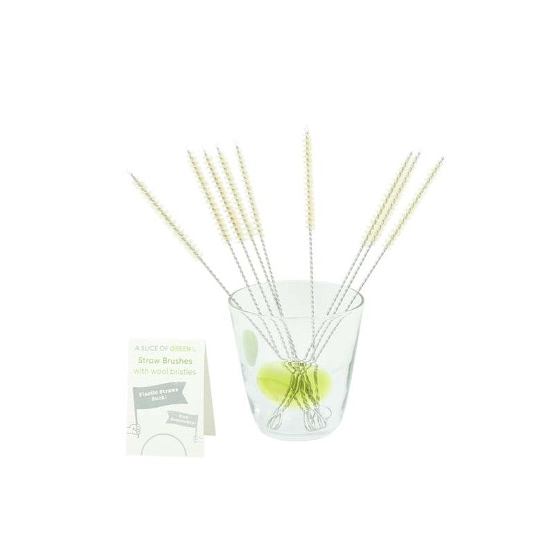 A Slice of Green Straw Cleaning Brush